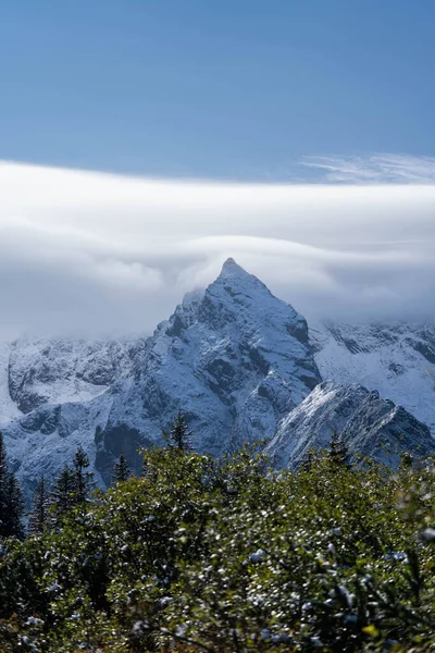 Increíblemente hermosos picos de montañas nevadas, increíble vida silvestre —  Fotos de Stock