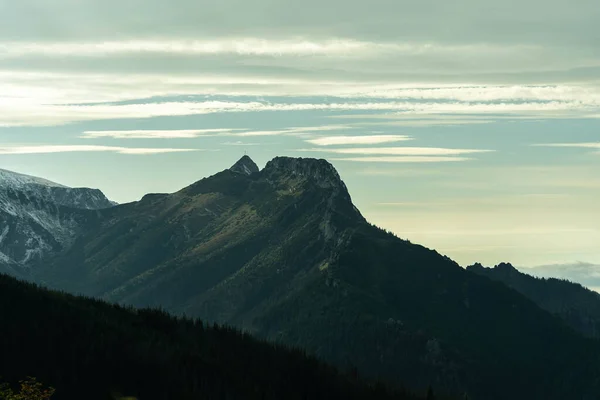 Όμορφες κοιλάδες βουνών κατάφυτες με πράσινο, απίστευτη άγρια ζωή — Φωτογραφία Αρχείου