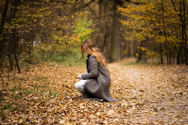 Fiatal Lány Gyűjti Lehullott Levelek Egy Gyönyörű Őszi Parkban Egy Stock Kép
