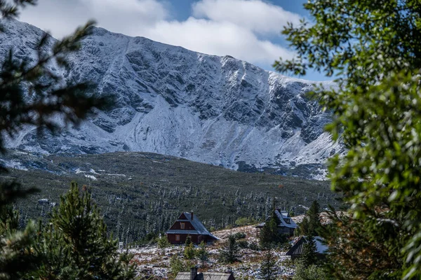 Απίστευτα όμορφες κορυφές χιονισμένα βουνά, απίστευτη άγρια ζωή — Φωτογραφία Αρχείου