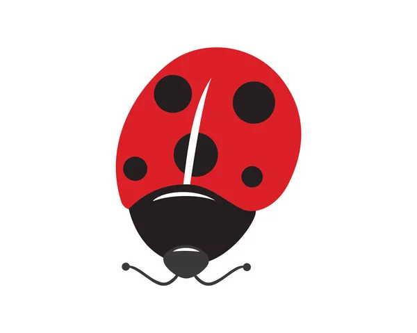 Ladybug Ilustrace Vizualizována Jednoduchým Dotykem — Stockový vektor