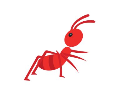 Semi Detailed Ant Simple Illustration