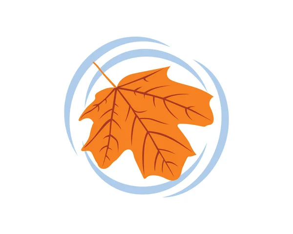 Maple Leaf Fall Water Creating Ripple Effect Illustration — 스톡 벡터