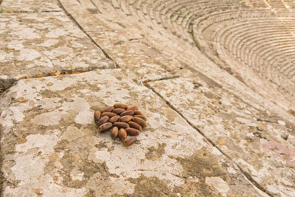 Montón Nueces Los Asientos Teatro Epidavros Antigua Grecia — Foto de Stock