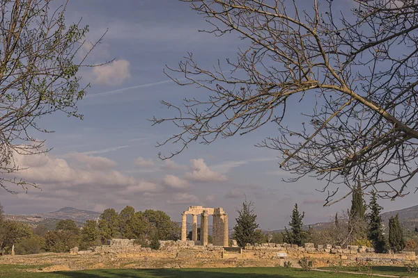 Antiguos Pilares Enmarcados Por Árboles Nemea Grecia — Foto de Stock