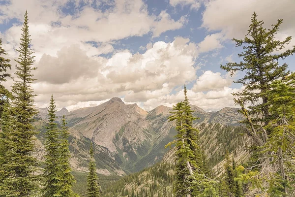 View Mountains Fernie British Columbia Canada — Stock Photo, Image