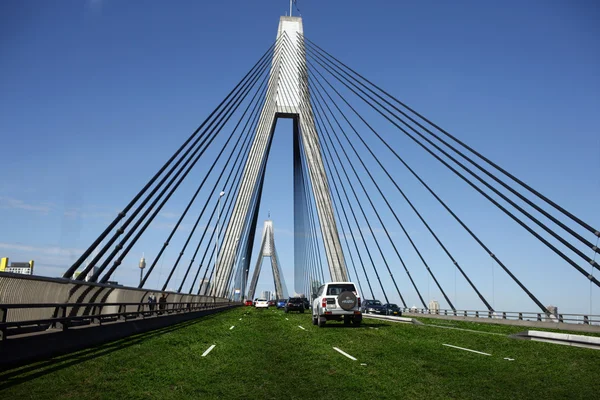 Anzac Bridge di Sydney Tertutup di Rumput — Stok Foto