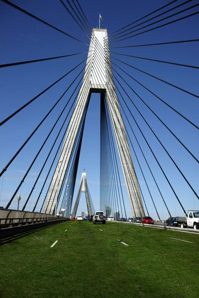 Anzac Bridge di Sydney Tertutup di Rumput — Stok Foto