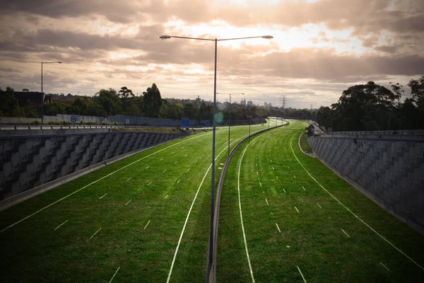 A highway covered in grass to say good bye to cars. — Stock Photo, Image