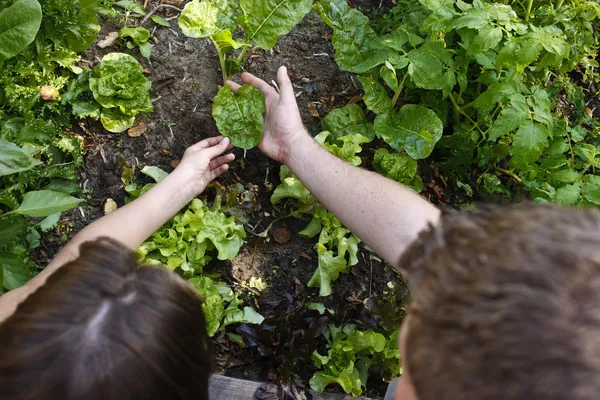 Una joven en el jardín — Foto de Stock