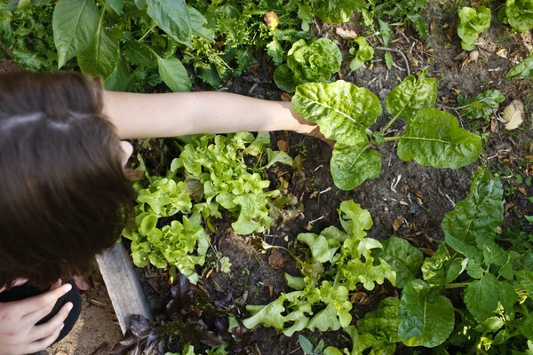 Young girls in the garden — Stock Photo, Image