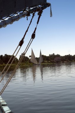 Felucca yelken