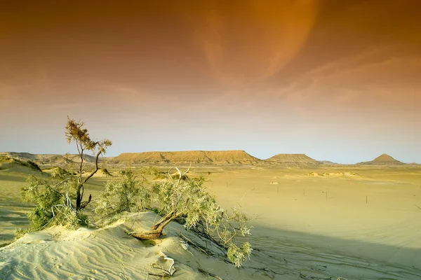 Czarny pustyni w Egipcie. — Zdjęcie stockowe