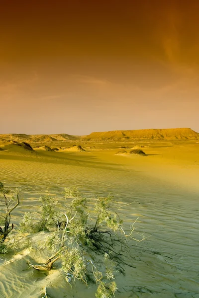 Czarny pustyni w Egipcie. — Zdjęcie stockowe