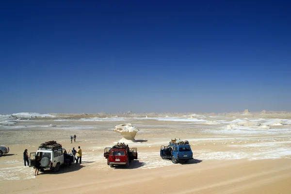 Safari en el desierto blanco — Foto de Stock