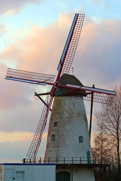 Windmühle bei Sonnenuntergang — Stockfoto