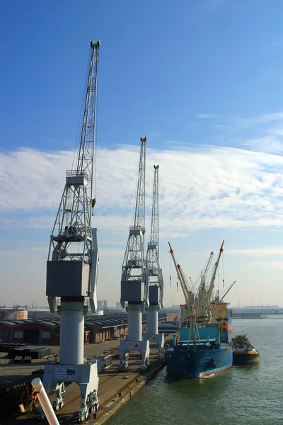 Dock yards — Stock Photo, Image