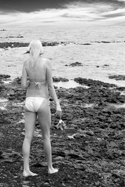 Modelo de pé na praia — Fotografia de Stock