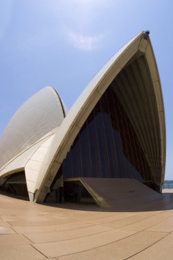 Sydney Opera Binası