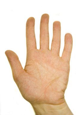 elini