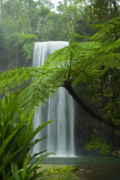 Wasserfall — Stockfoto