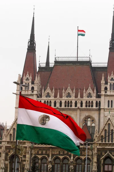 Parlamento Binası — Stok fotoğraf