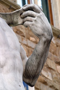 tarafından Michelangelo'nun David Floransa