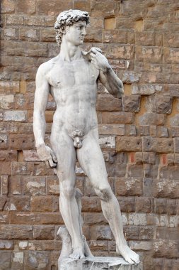 Michelangelo'nun David