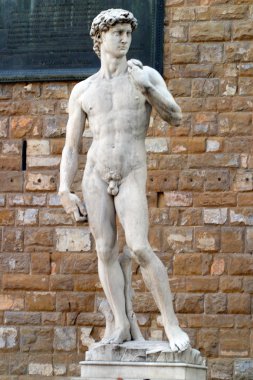 Michelangelo'nun David