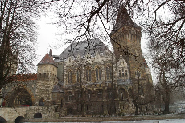 Museum voor Schone Kunsten — Stockfoto