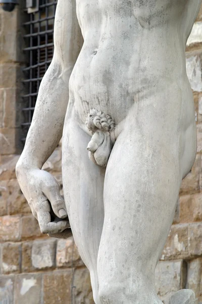 米开朗基罗的 David 雕像 — 图库照片