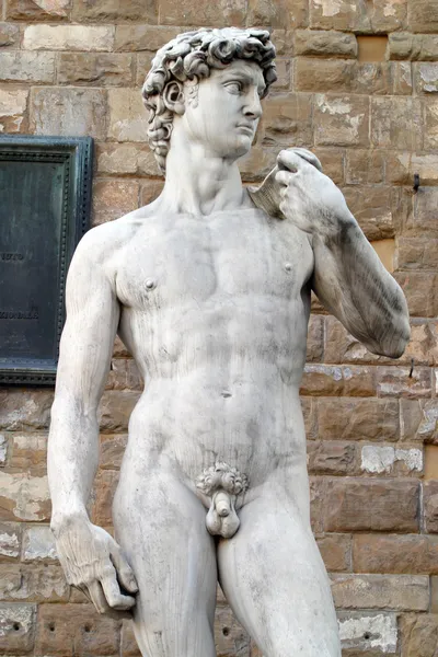 Michelangelo'nun David heykeli — Stok fotoğraf