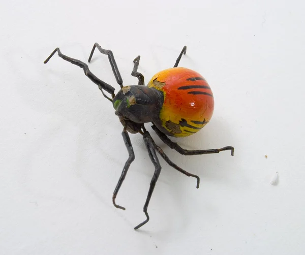 Spinnen und Käfer — Stockfoto