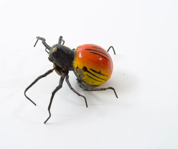 แมงมุมและแมลง — ภาพถ่ายสต็อก