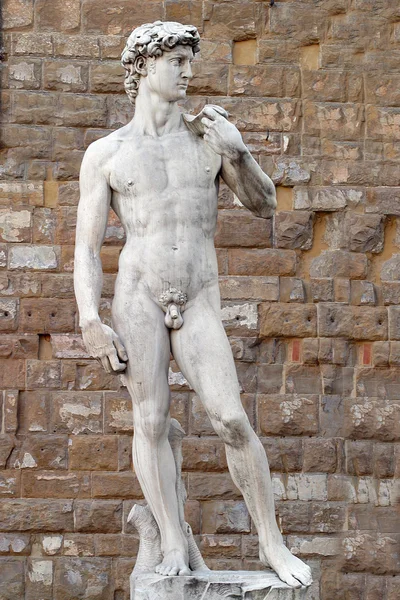 Michelangelo'nun David — Stok fotoğraf