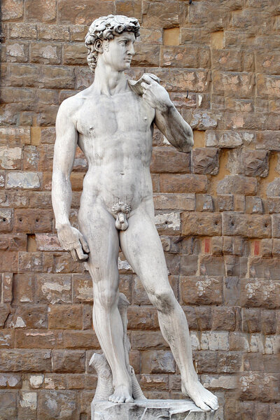 Давид Микеланджело
