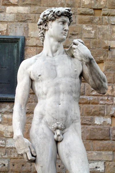 Michelangelo's David standbeeld Rechtenvrije Stockfoto's