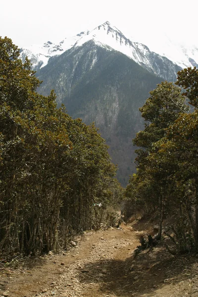 Cordillera —  Fotos de Stock