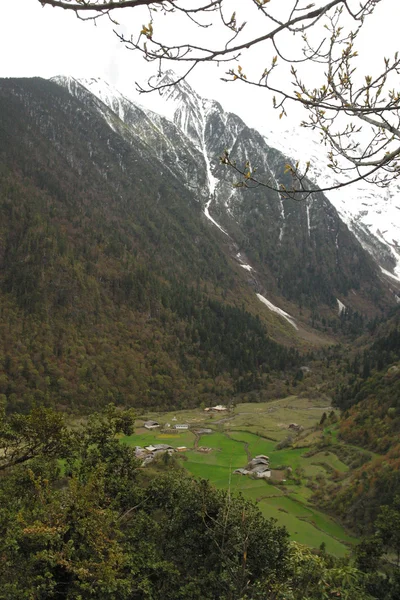 Mountain Range — Stock Photo, Image