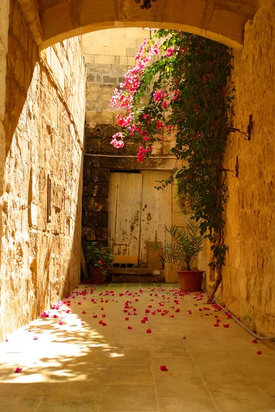 Malta sokaklarında — Stok fotoğraf