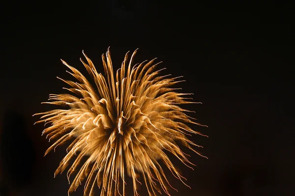 Esplosione di fuochi d'artificio — Foto Stock