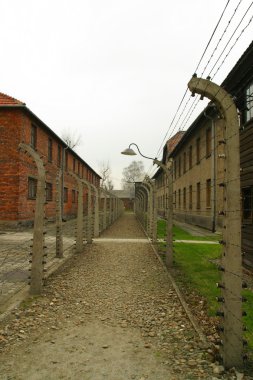 auschwitz toplama kampı