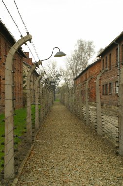 auschwitz toplama kampı