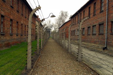 ın auschwitz elektrikli çit