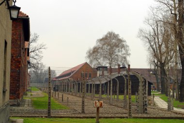 Auschwitz toplama kampı