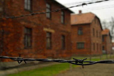 ın auschwitz elektrikli çit