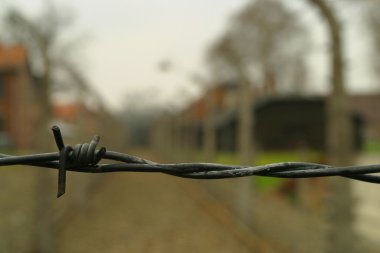 ın auschwitz elektrikli çit