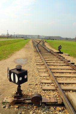 Auschwitz toplama kampı