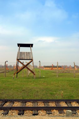 Auschwitz toplama kampı