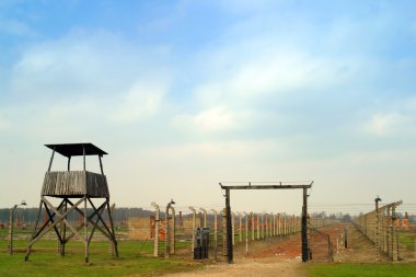 Auschwitz toplama kampı